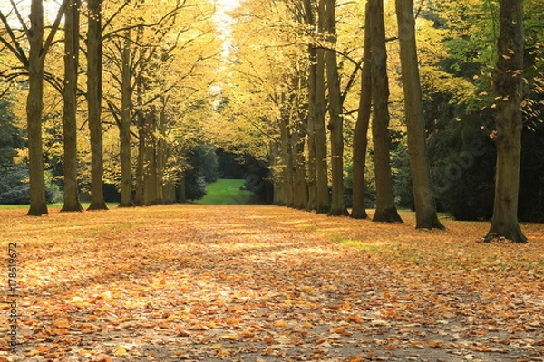 Fototapeta Die Karlsaue in Kassel