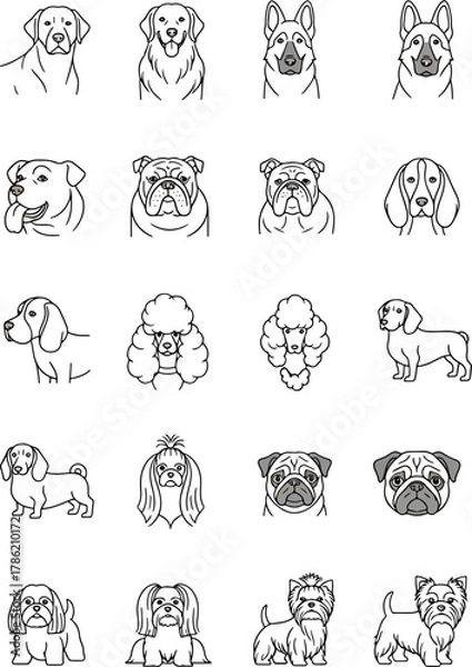 Fototapeta Collection of Diverse Dog Breeds Illustrated in a Clean Line Art Style Set Against a White Background
