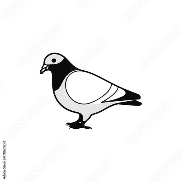 Obraz create a vector style simple pigon white background.
 
