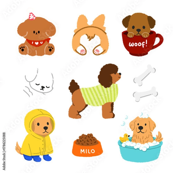 Obraz set of animals