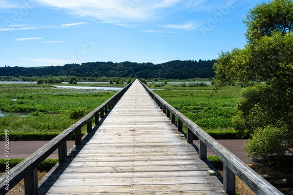 Fototapeta 蓬莱橋