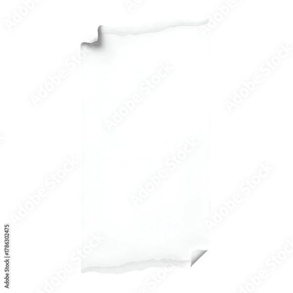 Obraz White paper with torn edges and shadows isolated on white background.