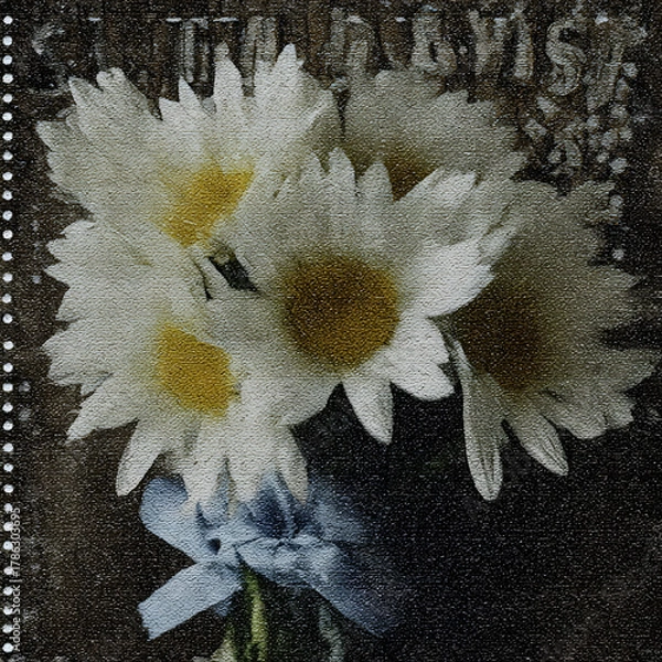 Fototapeta Bouquet of daisies tied with a blue ribbon on a vintage postage stamp from the early 20th century