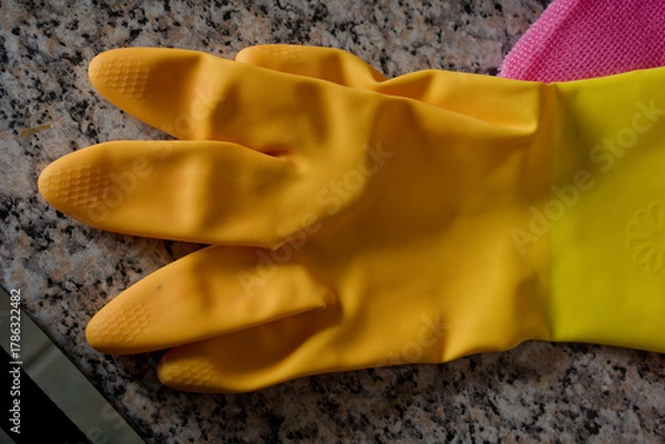 Obraz Washing up gloves