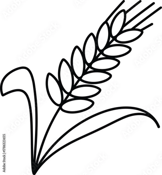 Fototapeta Wheat stalk icon outline with leaves on white background grain cereal