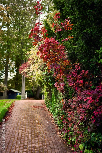 Obraz drive in the garden