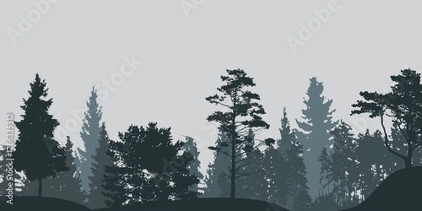 Fototapeta Dense forest silhouette with various evergreen trees under a soft, light grey sky