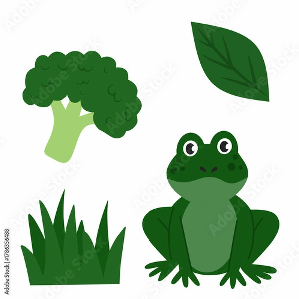 Fototapeta Educational illustration showing green objects for kids to learn colors. Includes frog, broccoli, grass, and leaf. Perfect for preschool color learning, printable worksheets, and classroom activities.