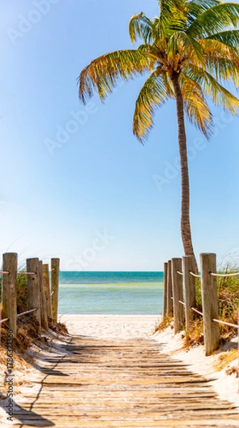 Obraz Beach Palm Tree