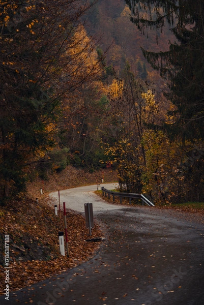 Fototapeta Winding concrete corridor with metal sides in autumn woods at twilight