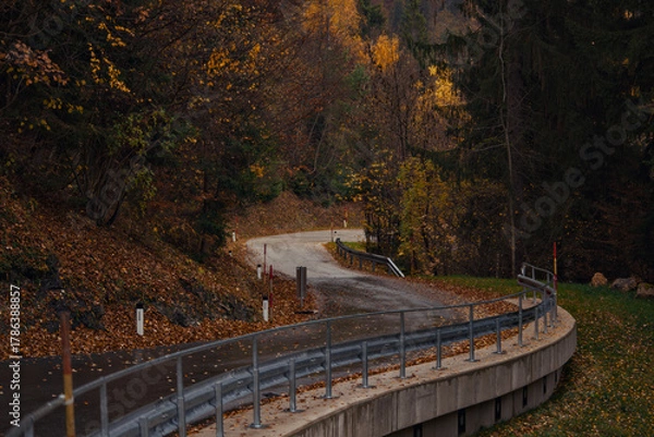 Fototapeta Winding concrete corridor with metal sides in autumn woods at twilight