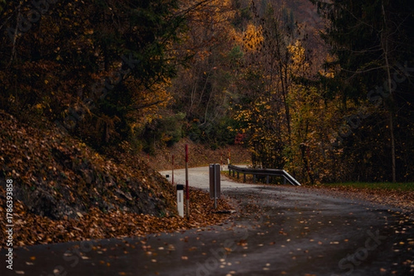 Fototapeta Winding concrete corridor with metal sides in autumn woods at twilight