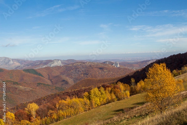 Fototapeta Colors in autumn