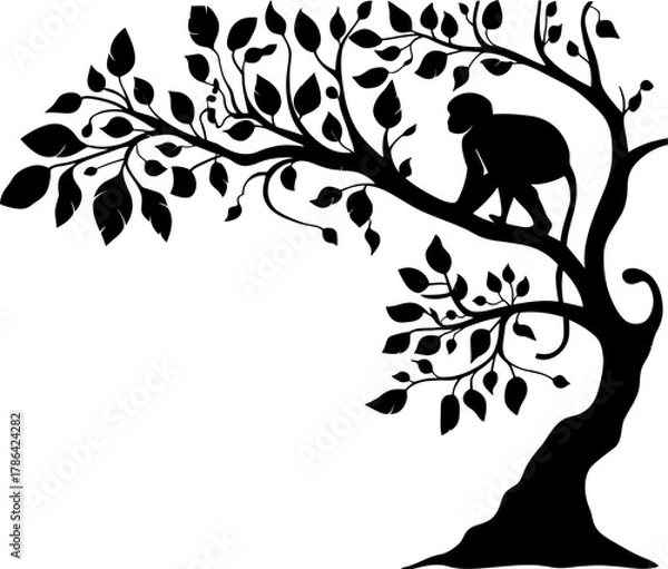 Fototapeta Monkey on Tree Branch Silhouette