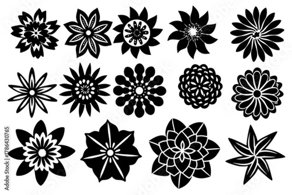 Fototapeta Vector illustration set of seamless black and white floral pattern elements, icons, and vintage flower silhouettes for art and decoration