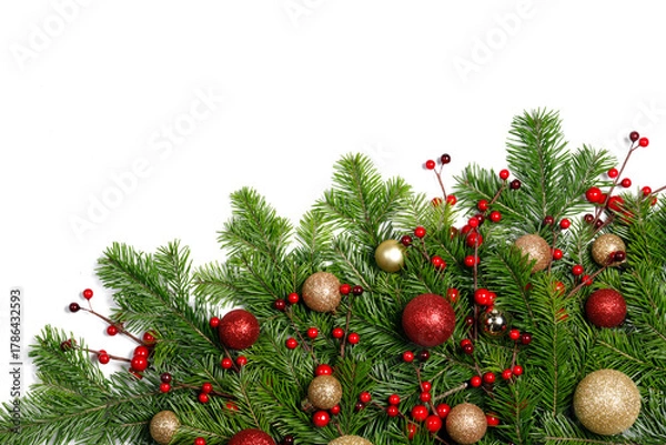 Obraz christmas pine isolated whites frame