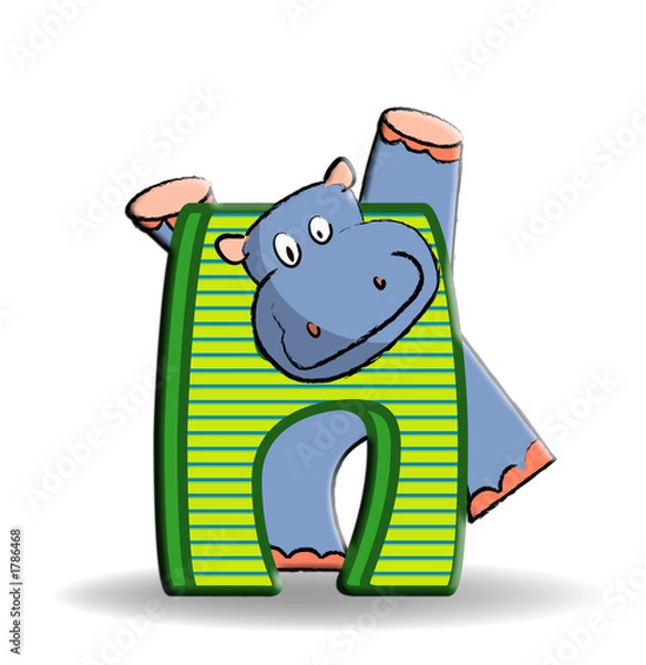 Fototapeta hipopotam