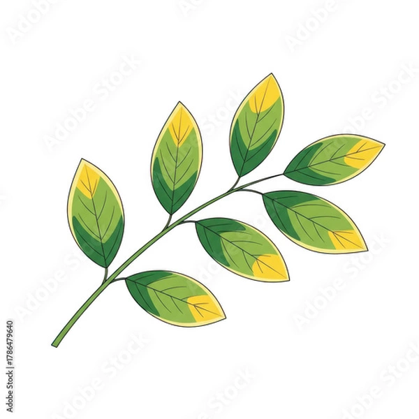 Obraz Leaf isolated on transparent background