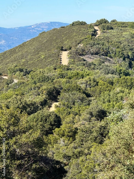 Fototapeta Elevated view of Limekiln trail surrounded by dense vegetation and chaparral with distant mountain ranges visible under clear blue sky in Sierra Azul Open Space Preserve