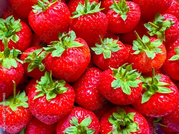 Obraz Close up view of fresh ripe strawberries on sale on a market stall. Backgrounds.