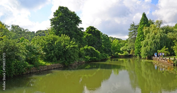 Fototapeta Ataturk Arboretum, located in Istanbul, Turkey, is a natural museum with many lice and trees.