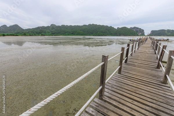 Fototapeta Wooden bridge over a body of water with a rope tied to it