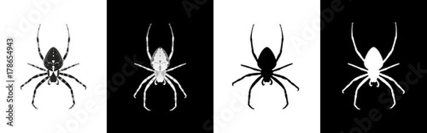Obraz Set pająka insekta wektoru ilustracja