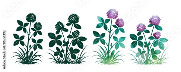Fototapeta Clover set. St. Patrick's Day. Beautiful flower Hand drawn. Not AI, vector illustration.