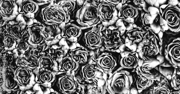 Obraz background vintage roses