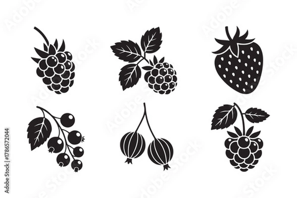 Obraz Black and white illustrations of various berries on white background