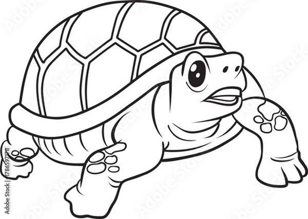 Fototapeta turtle line vector illustration isolated on white background