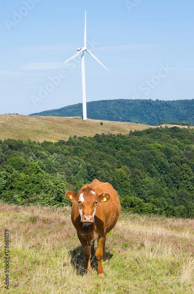 Obraz Livestock farming in the mountains. Wind turbine, alternative energy.