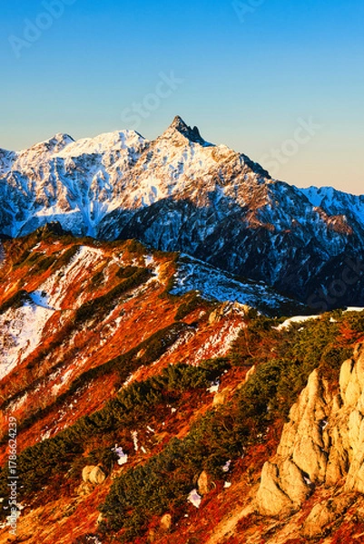 Fototapeta 朝焼けの冠雪の北アルプスの槍ヶ岳