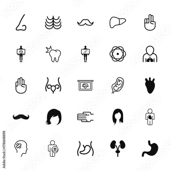 Fototapeta 25 set of outline web body parts icons such as ribs lines, standing man holding a large intestines image, hunger games hand gesture, mustache curled tip variant, male head vector thin icons for
