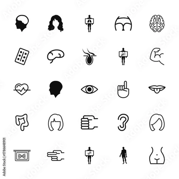 Fototapeta 25 set of outline web body parts icons such as long wavy hair variant, domino piece with six dots, heart shape, large intestines, plate showing deoxyribonucleic acid structure vector thin icons for