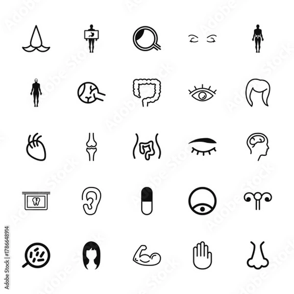 Fototapeta 25 set of outline web body parts icons such as human body with x ray plate focusing on stoh, standing human body shape, part with lines, tooth x rays vision, cells under a magnification tool vector