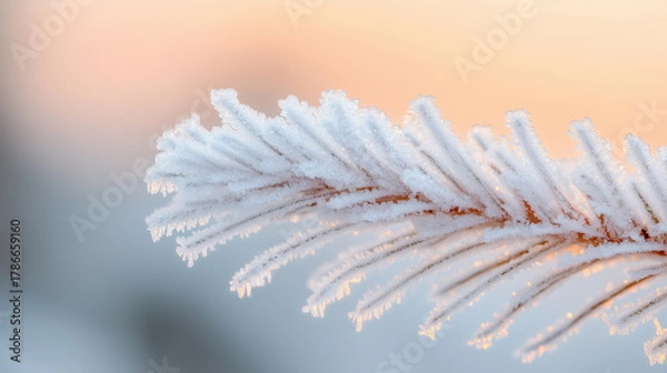 Obraz Frosty winter branch glistens in soft morning light against a pastel sky