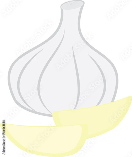 Fototapeta A vector art of garlic, peeled and unpeeled. 