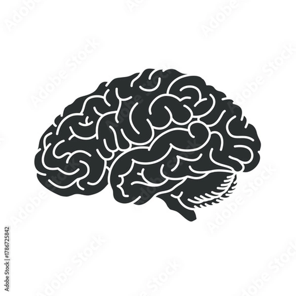 Fototapeta Brain organ logo flat design, brain icon, simple hand drawn organ vector illustration, flat design element. Illustration design for, logo, symbol, icon, and emblem.