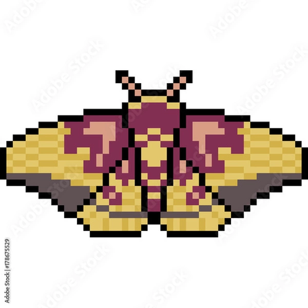Fototapeta vector pixel art insect moth