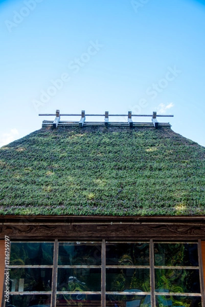 Obraz 茅葺屋根の日本建築