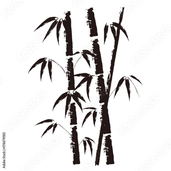 Obraz 墨絵の竹モノクロ_ベクターイラスト