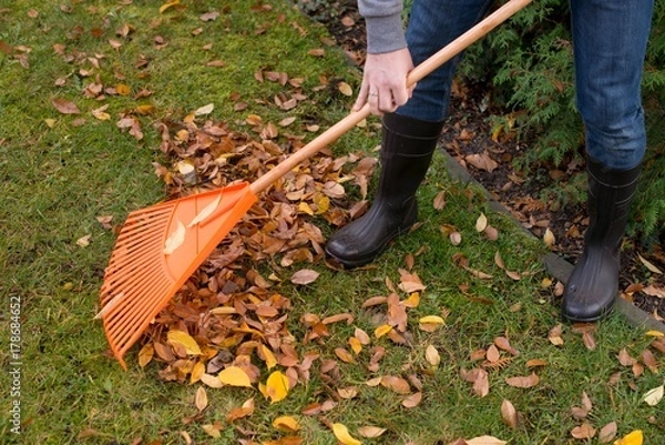 Obraz Jesienne porządki