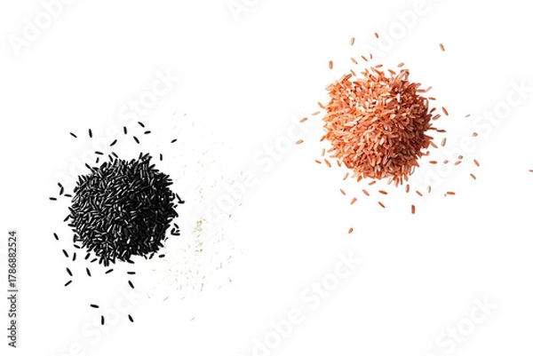 Obraz Different Rice Varieties Displayed Side by Side PNG