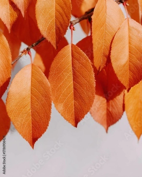 Fototapeta Premium Autumn Leaves Warm Red and Beige Tones, Bokeh Background for Inspiring Seasonal Marketing Content