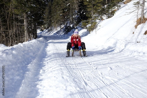 Obraz winterliche Schlittenfahrt