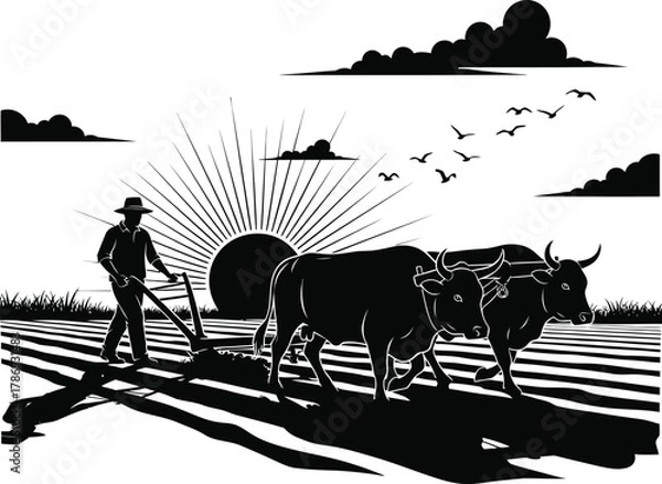 Fototapeta Farmer with Oxen in Field Black & White Silhouette Vector Art