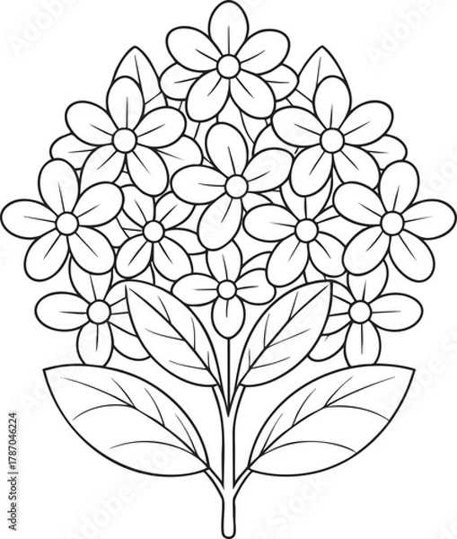 Fototapeta Charming lilac flower bouquet outline drawing for kids coloring page and floral craft project designs