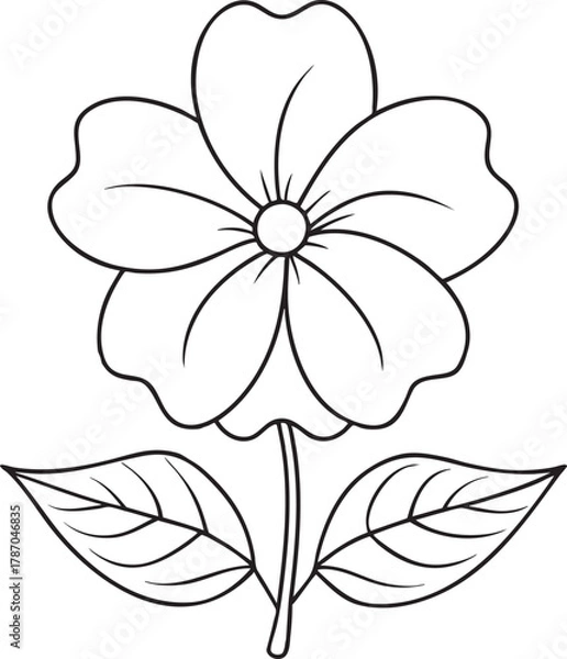 Fototapeta Delicate impatiens flower line art illustration for floral coloring books and decorative art pattern projects
