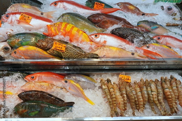 Obraz 沖縄公設市場　鮮魚